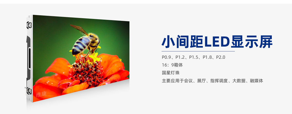 丝瓜视频黄色成人